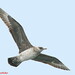 Debbie Jaeger Photo 16