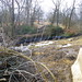 James Greathouse Photo 38