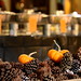 Debra Roman Photo 15