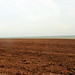 James Mcdevitt Photo 39