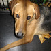 Kathy Shepherd Photo 15