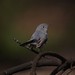 Barbara Gray Photo 27