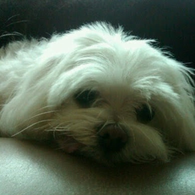 Penny Griffin Photo 5