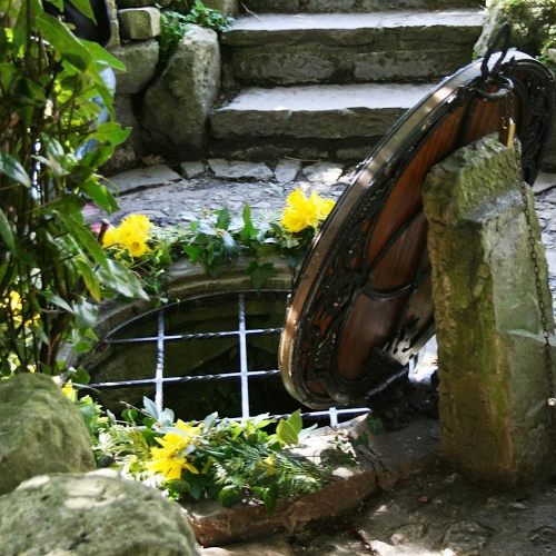 Robin Sword Photo 22