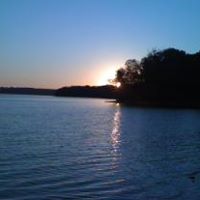 Wendy Lester Photo 13