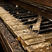 Michael Alt Photo 34