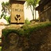 Luz Mejia Photo 14