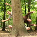 David Higham Photo 32