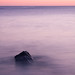 David Dail Photo 24