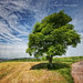 Christophe Lang Photo 4