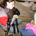 Kristin Lamb Photo 15