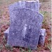 Mary Looney Photo 17