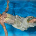 Beatrice Robles Photo 12