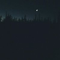 Lawrence Crow Photo 15