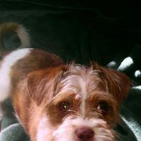 Traci Prince Photo 4