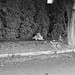 Eugene Coon Photo 7