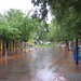 Alice Rains Photo 4