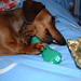 Frank Fang Photo 22