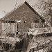 Don Haun Photo 12