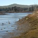Allison Mclane Photo 5