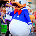 Donald Stephens Photo 29