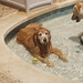 Judy Murphy Photo 10