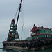 Sha Tsai Photo 13