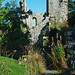 Steven Abbey Photo 14