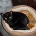 Clyde Barney Photo 8