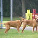 Kelli Riley Photo 18