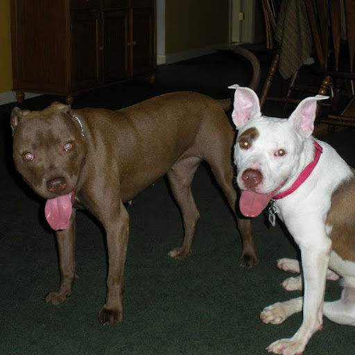 Nancy Locke Photo 3