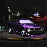 Randell Paul Photo 4