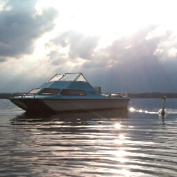 Patrick Falk Photo 5