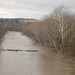 Jason Sayre Photo 22