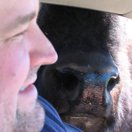 David Halverson Photo 32