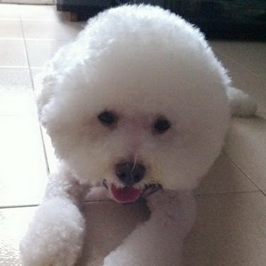 Wen Kung Photo 9