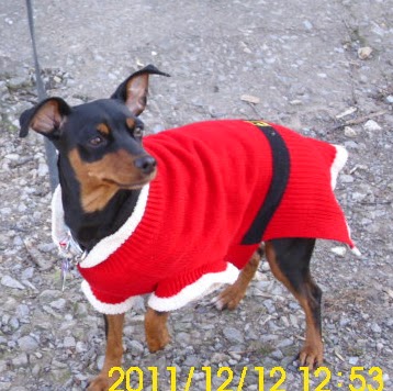 Connie Wright Photo 35