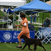 Marlene Brown Photo 7