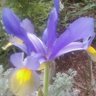Martha Blevins Photo 16