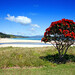 Karl Howe Photo 17