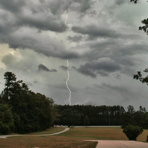 Joseph Briggs Photo 14