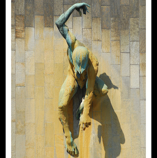 Michael Swan Photo 17