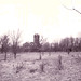James Rine Photo 10