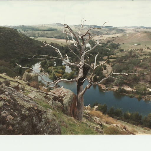 Robert Kitchell Photo 15