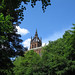 Kelvin Stephenson Photo 9