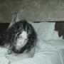 Adam Phillips Photo 28