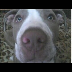 Bella Robinson Photo 14