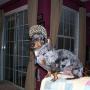 Shelly Snyder Photo 38
