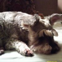 Brenda Matthews Photo 33