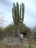 Gabriel Torres Photo 12